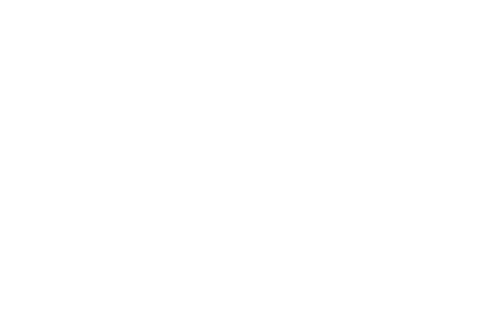 fernandesproservices.com